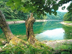 青森県　十二湖